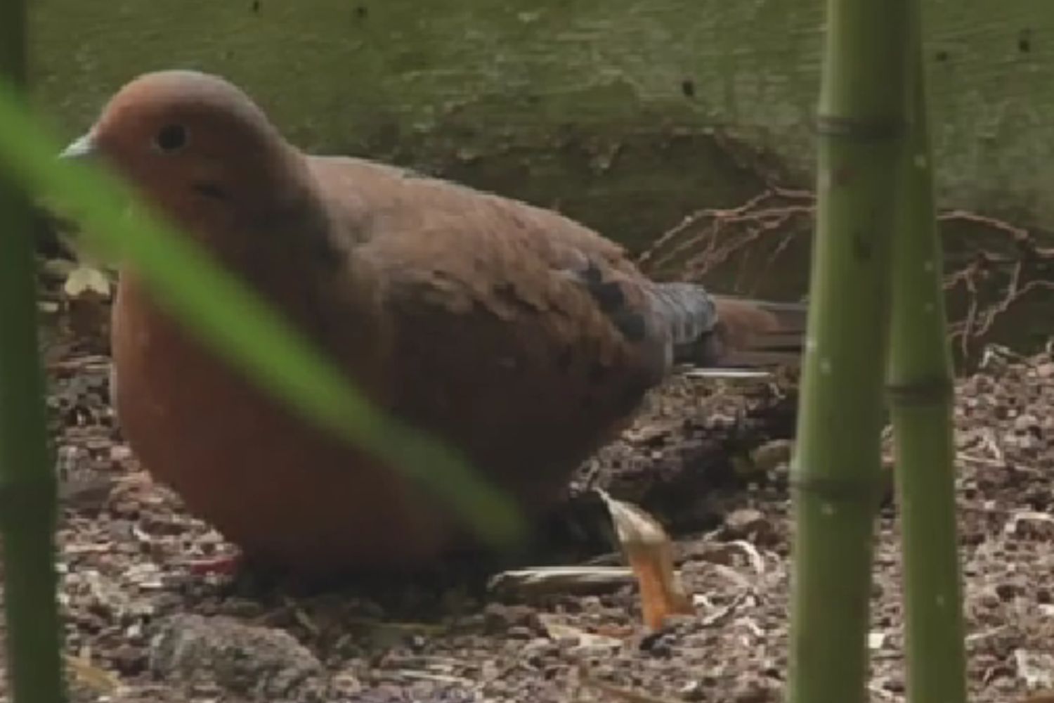 Diseño Sin Título (32)