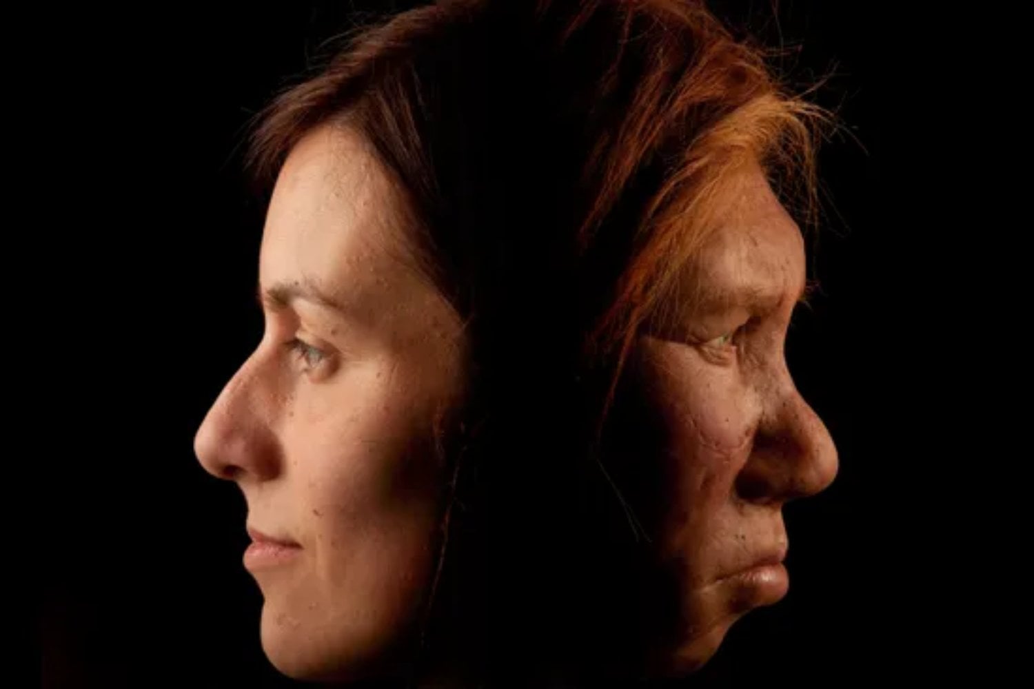 ¿Qué sucedió cuando humanos y neandertales se cruzaron? El cromosoma X conserva una pista que reescribe la historia de esos encuentros