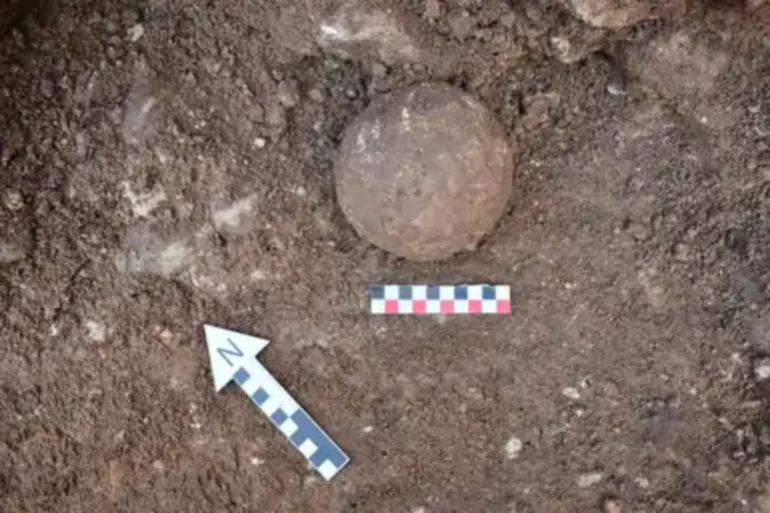 Un pequeño hueso hallado en Córdoba ha reabierto un debate histórico enorme. La posibilidad de que perteneciera a un elefante de guerra de la época de Aníbal