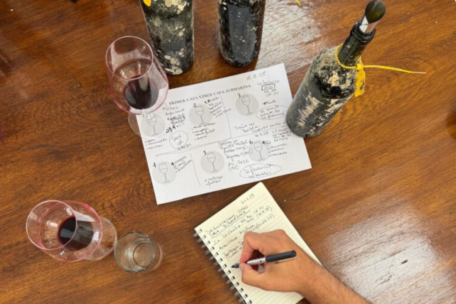 Argentina acaba de sacar vino del fondo del mar en la Patagonia. La primera prueba real de las cavas submarinas dejó un resultado inesperado