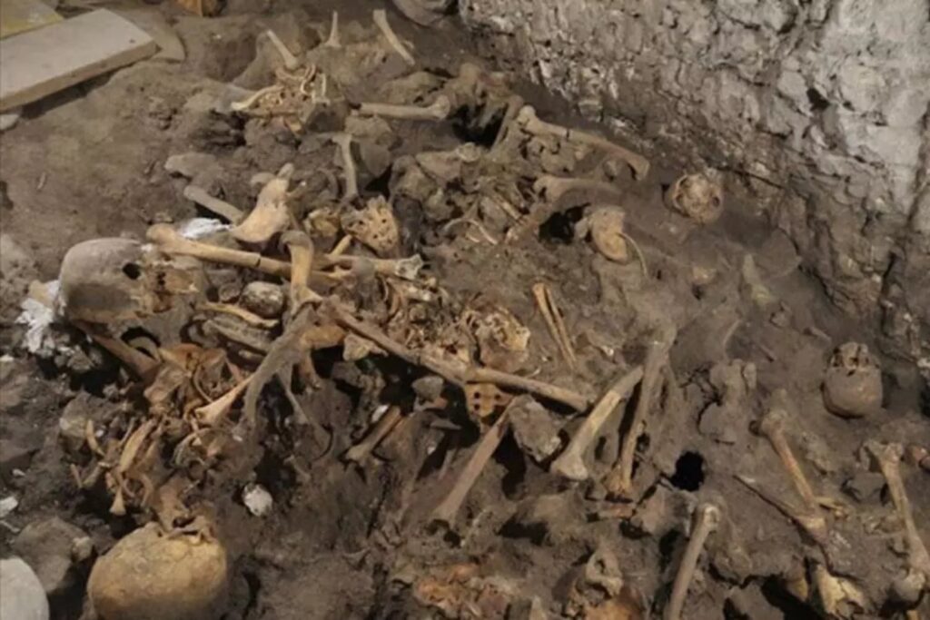 Los dientes de la Sima de los Huesos revelan cómo sobrevivieron sus homínidos al frío extremo. Comer de todo fue su mejor estrategia evolutiva