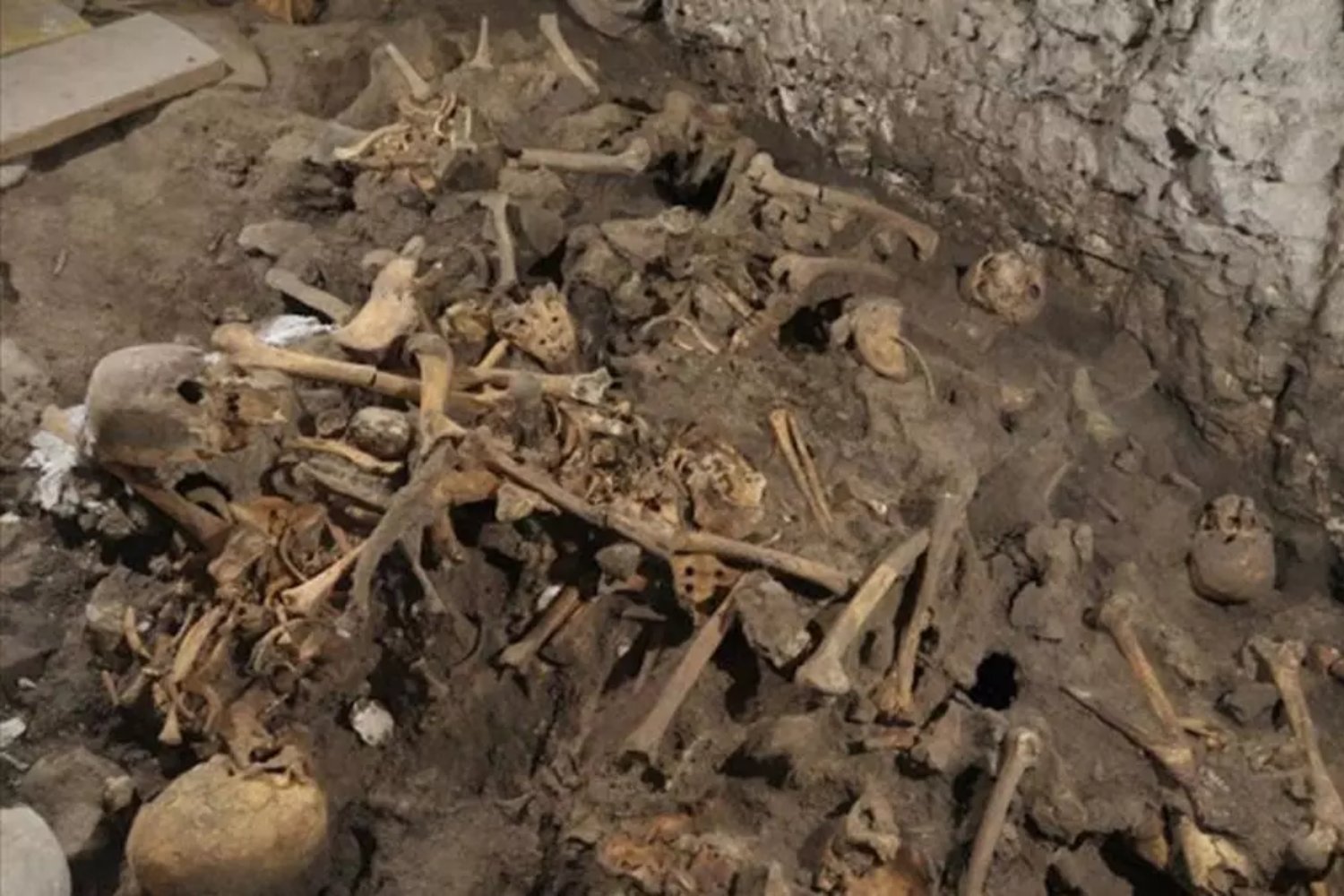 Los dientes de la Sima de los Huesos revelan cómo sobrevivieron sus homínidos al frío extremo. Comer de todo fue su mejor estrategia evolutiva