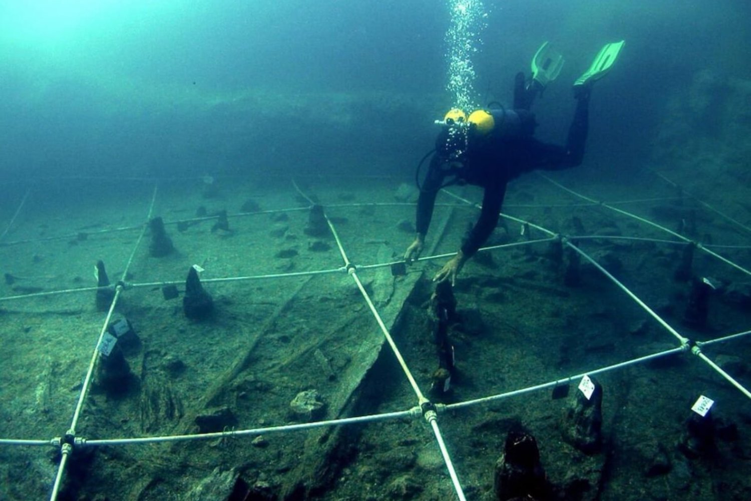 Un poblado neolítico sumergido devuelve 19 arcos intactos del fondo del lago. Por qué este hallazgo cambia la imagen de los primeros agricultores del Mediterráneo
