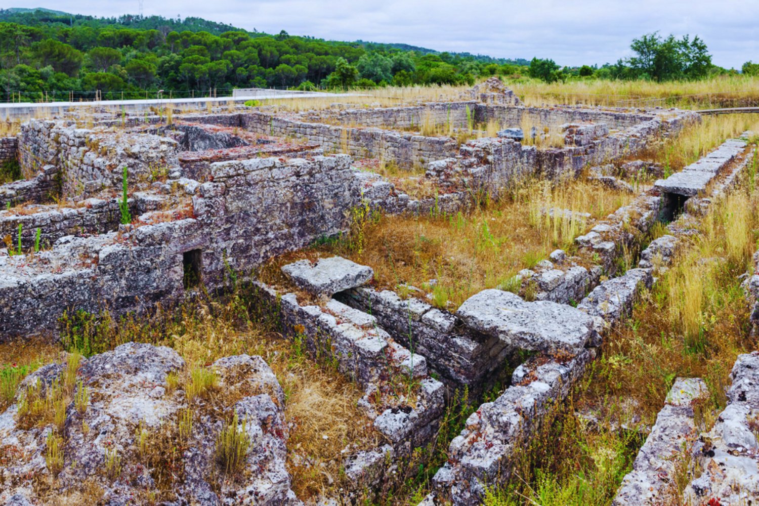 Los romanos tenían alcantarillas, termas y acueductos. También usaban heces como medicina, y ahora tenemos pruebas químicas de ello