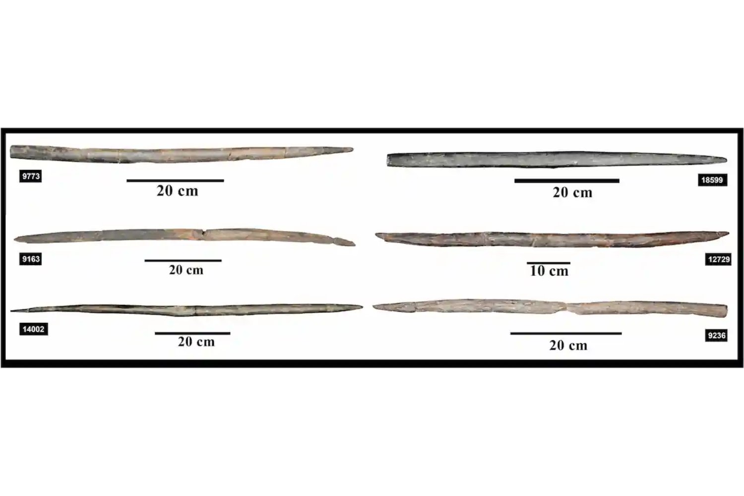 Un poblado neolítico sumergido devuelve 19 arcos intactos del fondo del lago. Por qué este hallazgo cambia la imagen de los primeros agricultores del Mediterráneo