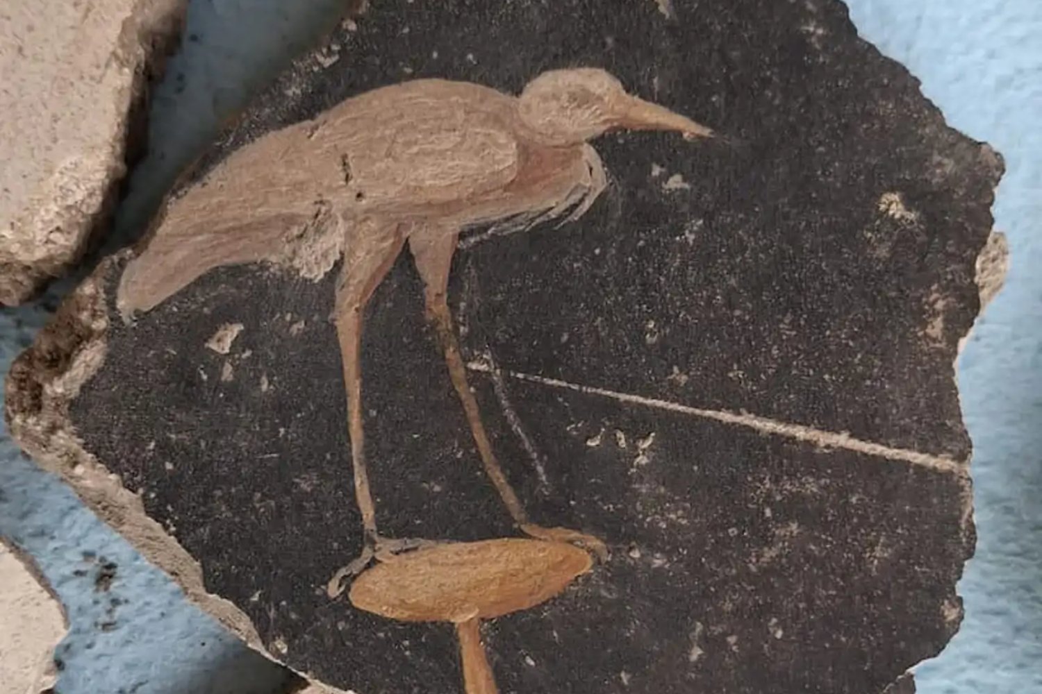 El Vesubio congeló una obra en pleno trabajo. Un taller romano intacto muestra cómo la vida se detuvo en el año 79 d.C.