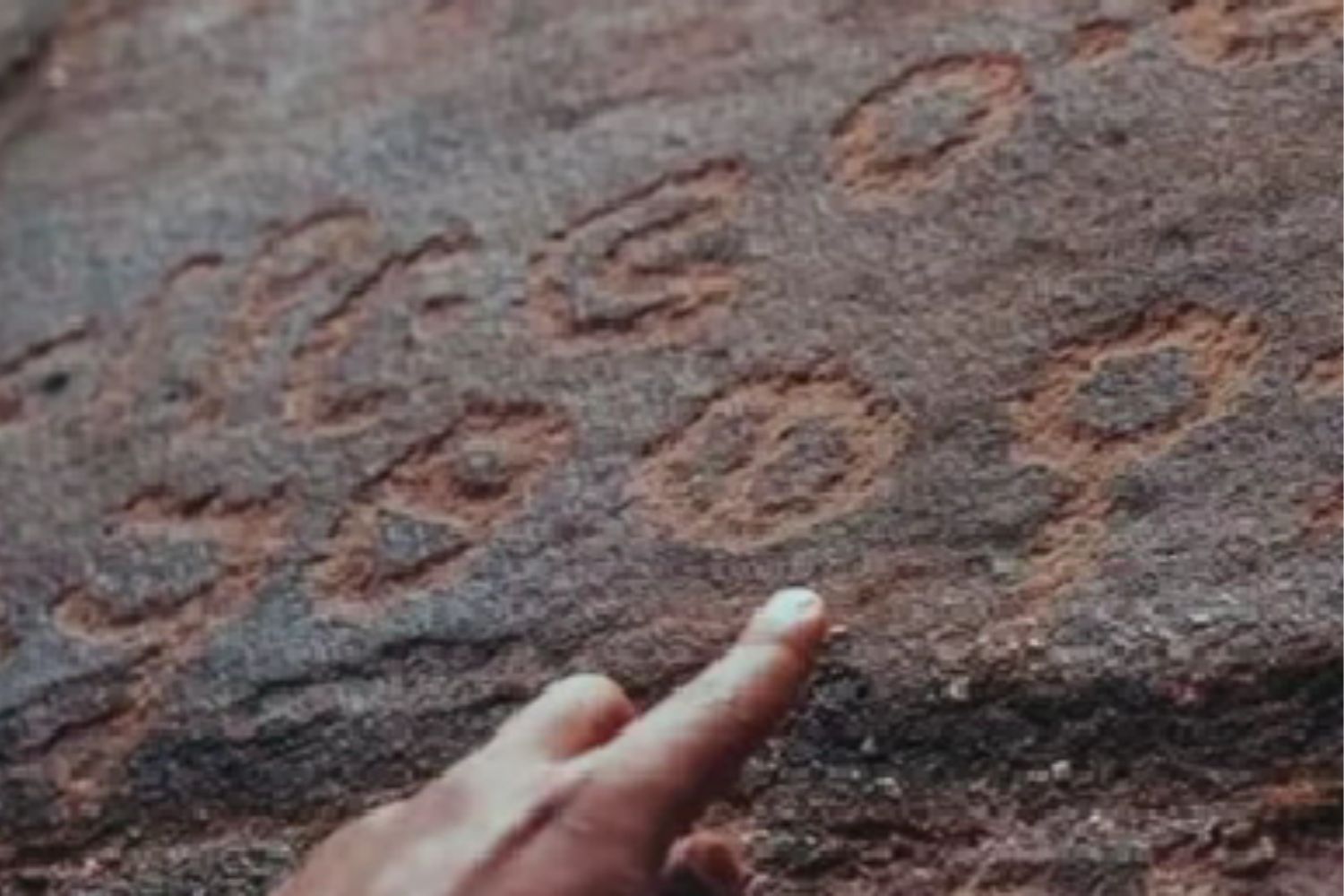 Diseño Sin Título (4)