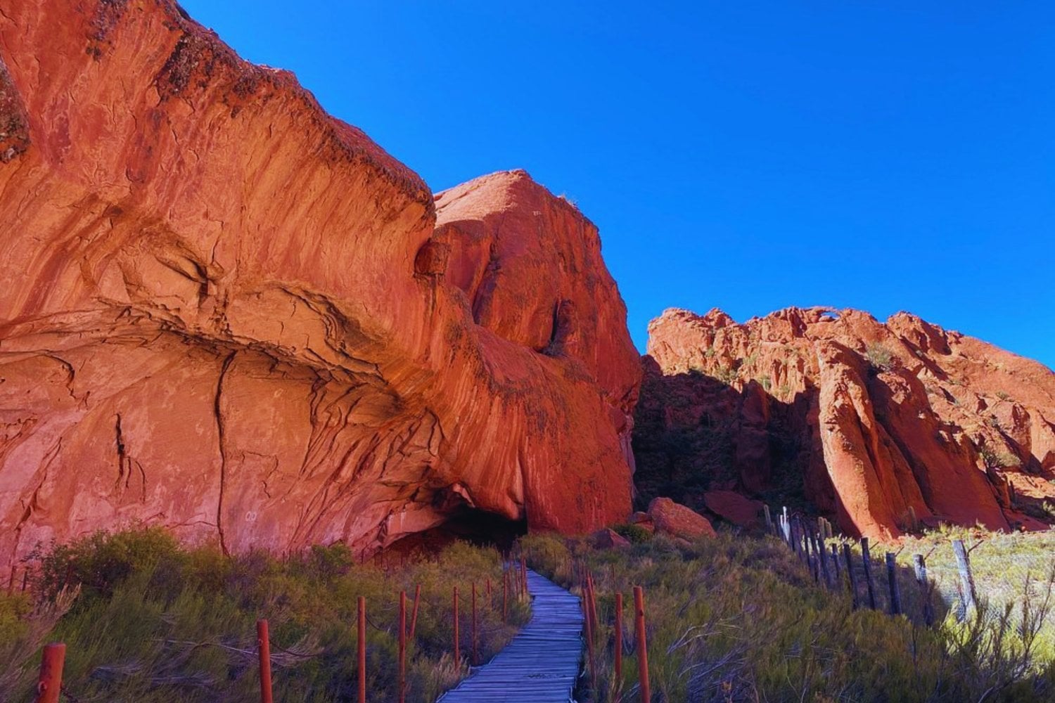 La humanidad ya buscaba “salir de la realidad” hace 4.000 años. Una pipa de hueso de puma hallada en los Andes lo confirma