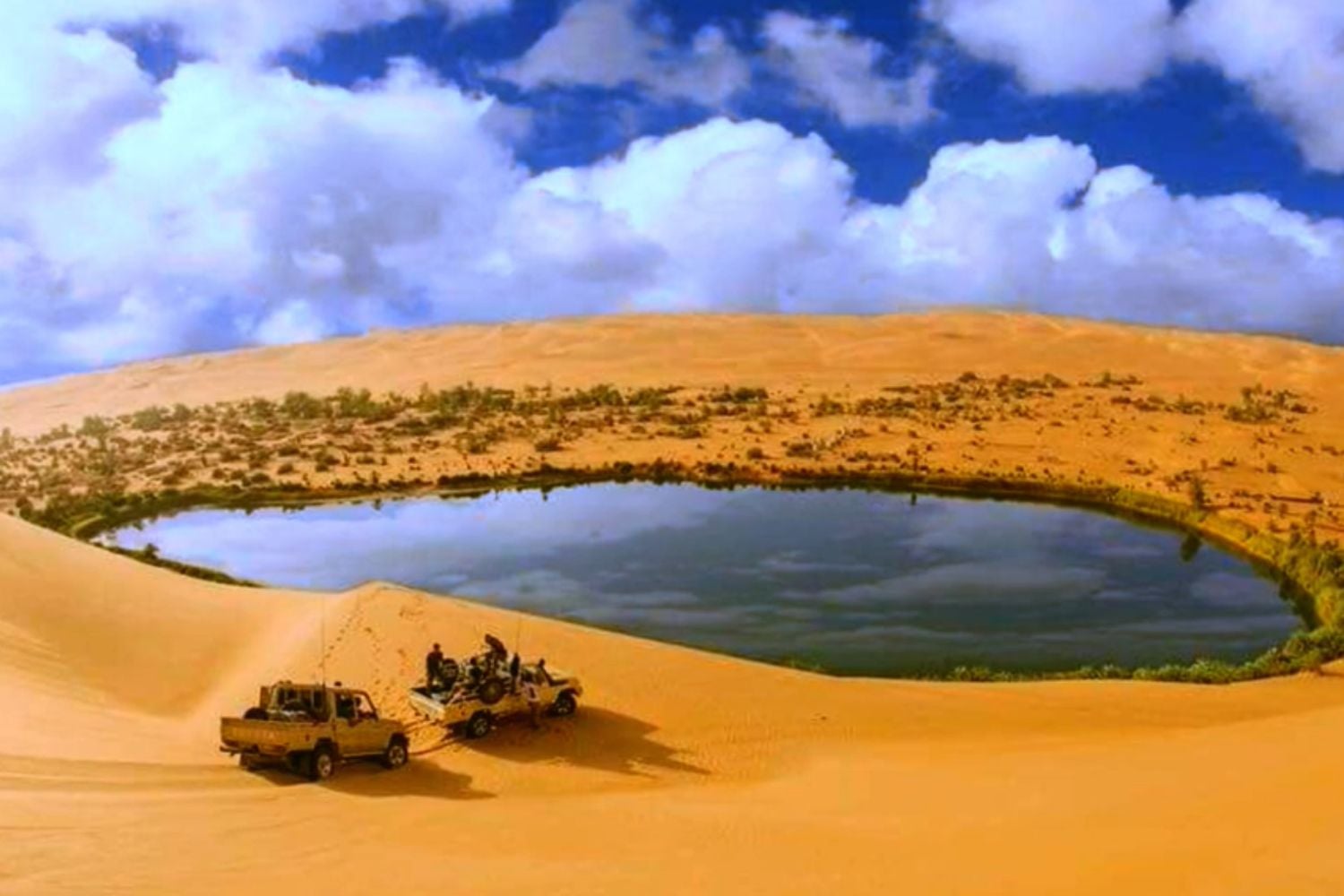 Diseño Sin Título (4)