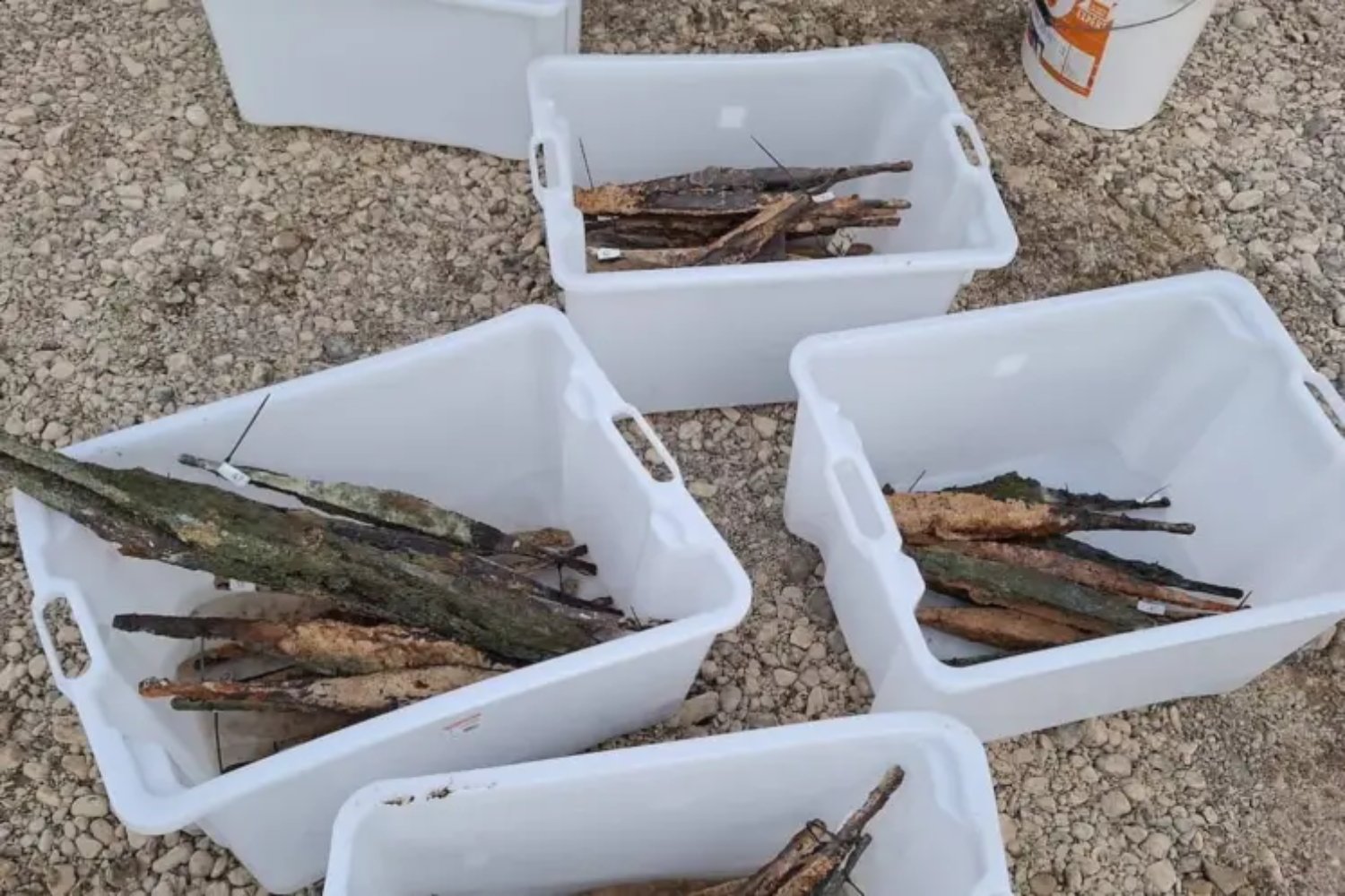 Un cargamento de hierro perdido hace 2.000 años aparece en un río de los Balcanes. El hallazgo que obliga a redibujar el mapa económico de la Europa prerromana