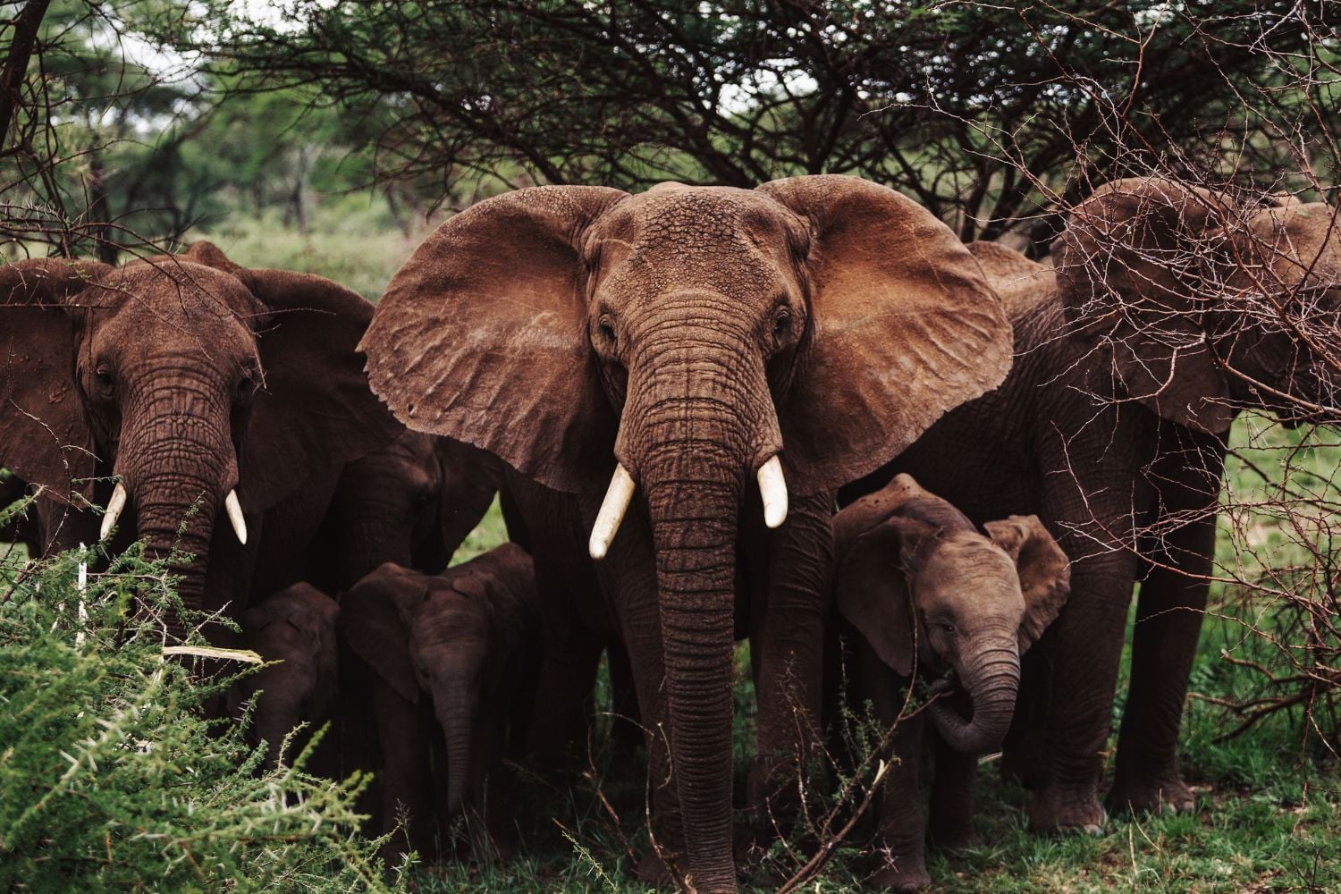 Diseño Sin Título (41)