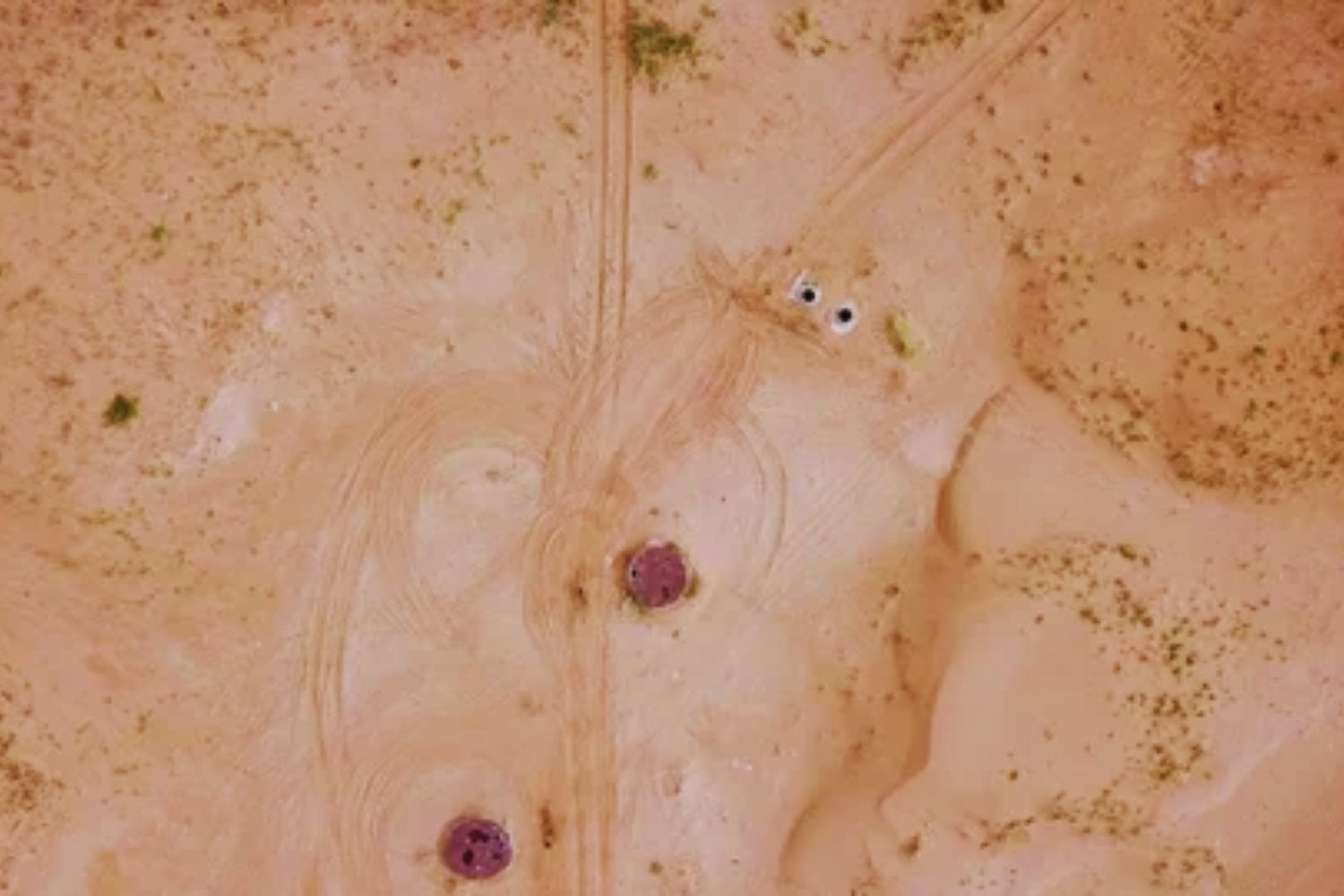 Convertir el desierto en material de obra ya no suena a ciencia ficción. La mezcla de arena y madera que propone una alternativa al hormigón