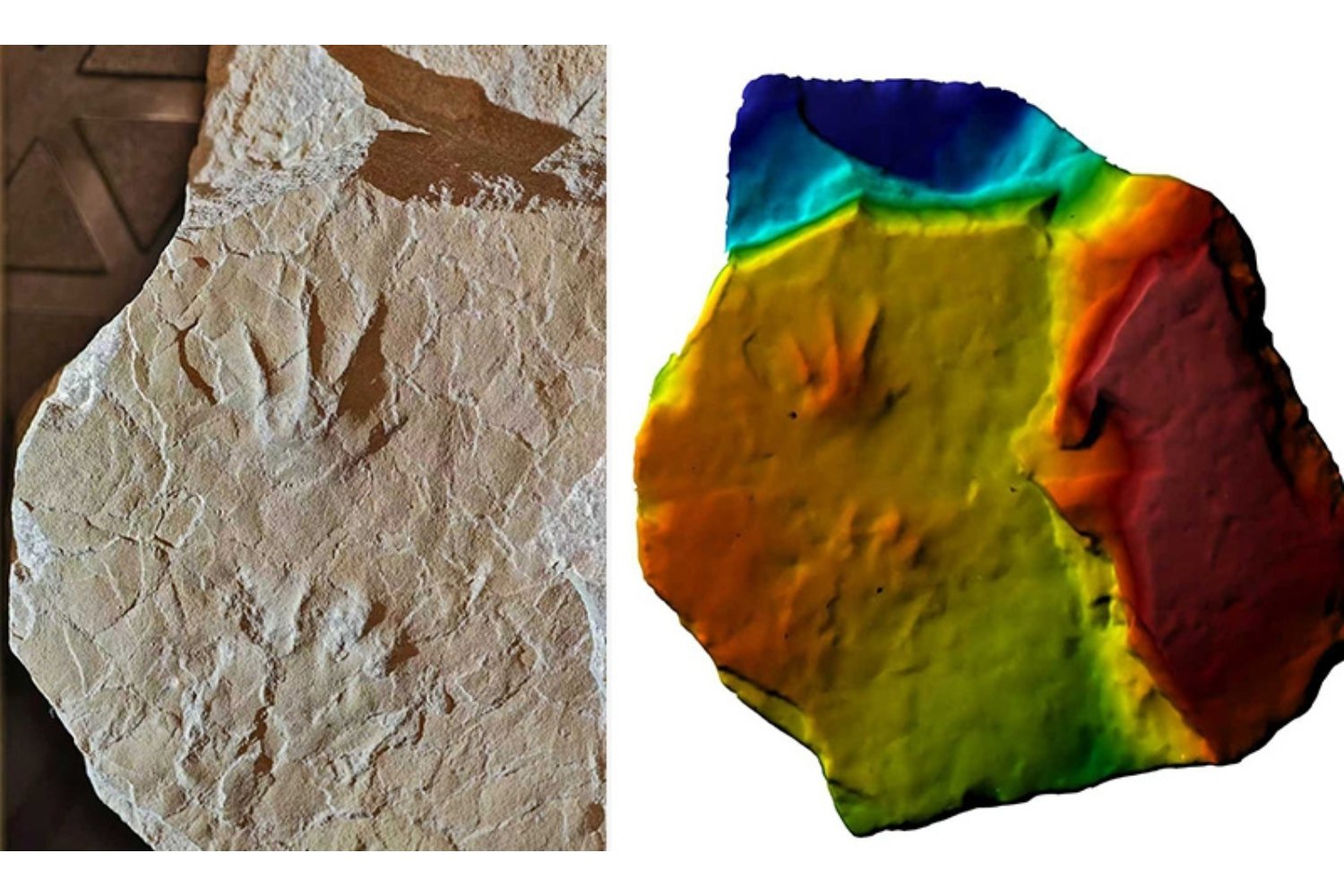 Unas huellas diminutas de hace 160 millones de años obligan a reescribir el mapa del Jurásico en Asia. China acaba de encontrar anfibios donde no los esperábamos
