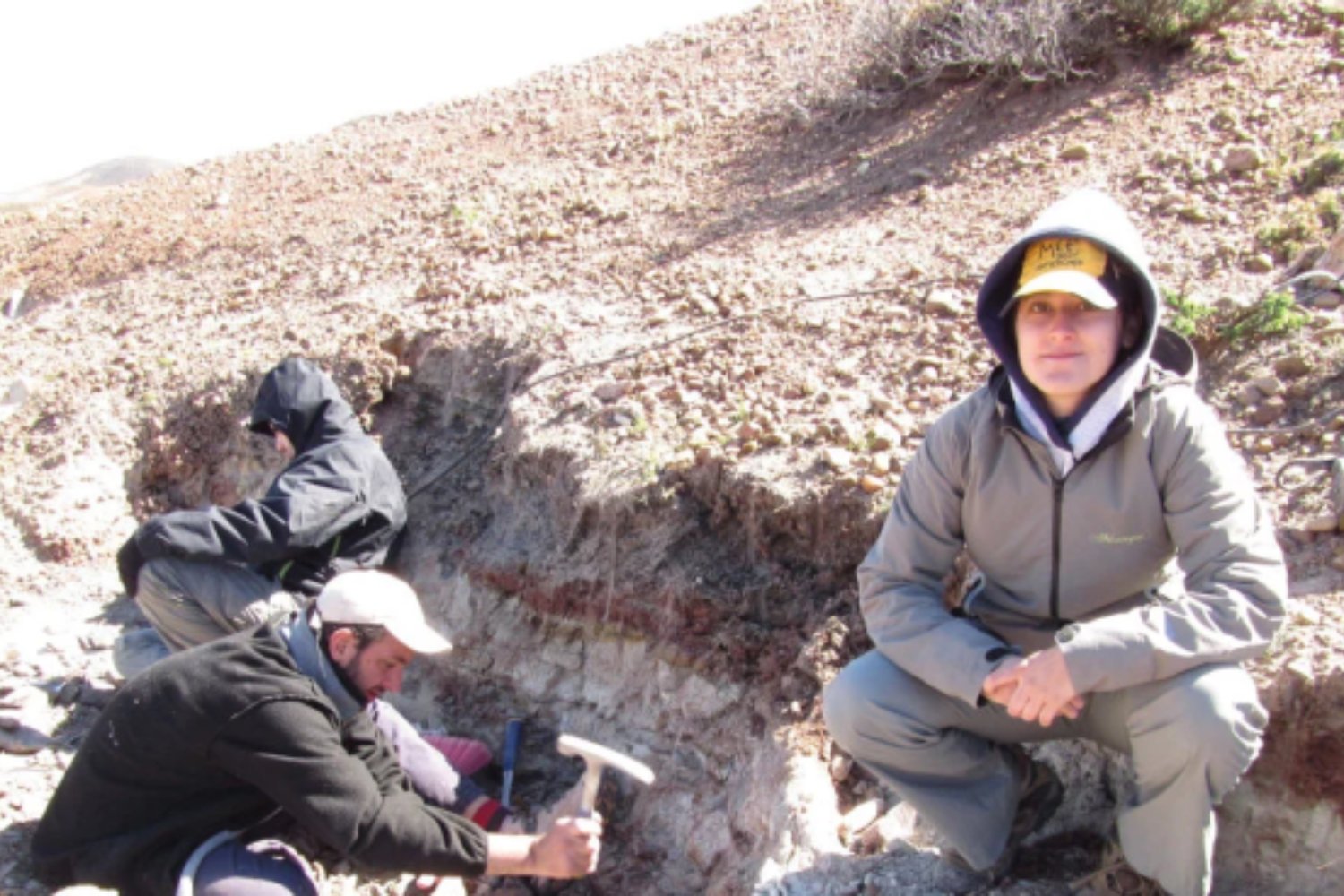 Una flor de apenas unos milímetros hallada en la Patagonia está uniendo historias separadas por océanos. Su edad la convierte en una clave para entender el origen de las plantas con flor