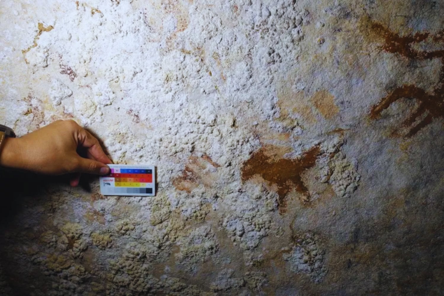 La mano que no era una mano. Una “garra” de hace 67.800 años que obliga a replantear cuándo nos volvimos realmente modernos