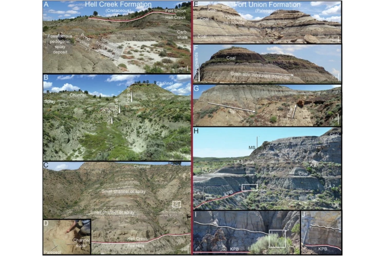 Los dinosaurios no solo dominaban la Tierra: también la moldeaban. Por qué su desaparición cambió ríos, bosques y paisajes más allá del meteorito