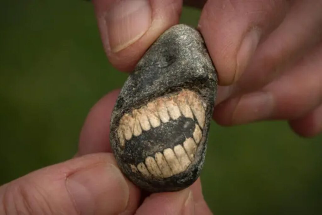 Una “sonrisa” en la playa reveló un fósil de 350 millones de años. La historia que conecta superstición medieval y paleontología moderna
