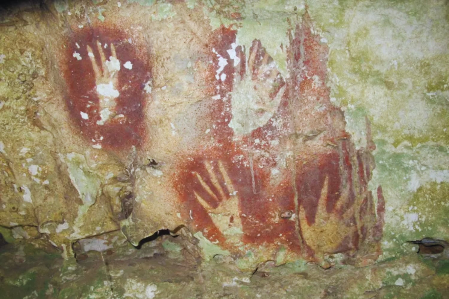 La mano que no era una mano. Una “garra” de hace 67.800 años que obliga a replantear cuándo nos volvimos realmente modernos