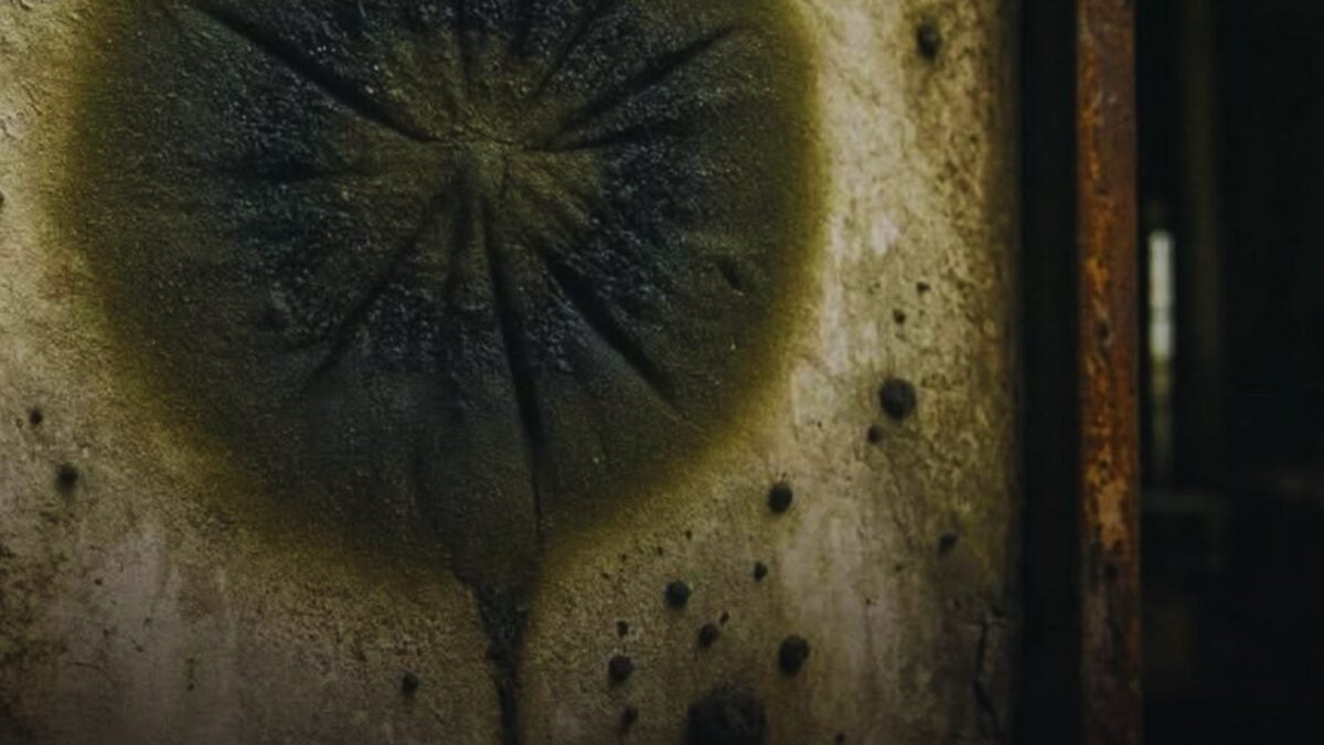 Un hongo negro prospera dentro del reactor de Chernóbil donde no debería haber vida. La sorprendente adaptación biológica que desafía la radiación