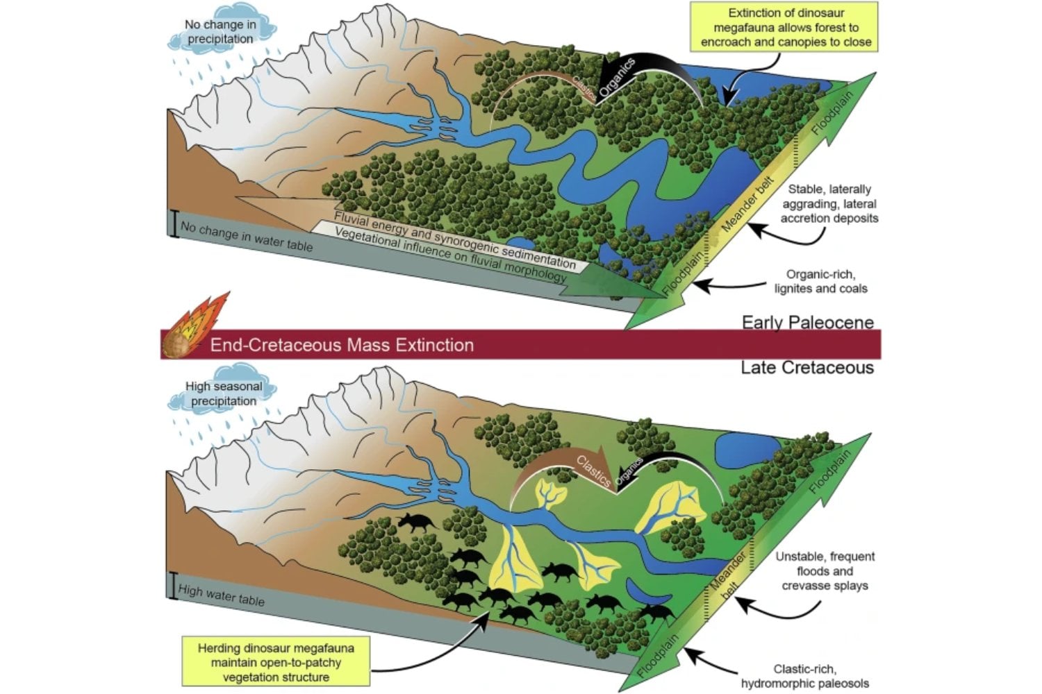 Los dinosaurios no solo dominaban la Tierra: también la moldeaban. Por qué su desaparición cambió ríos, bosques y paisajes más allá del meteorito