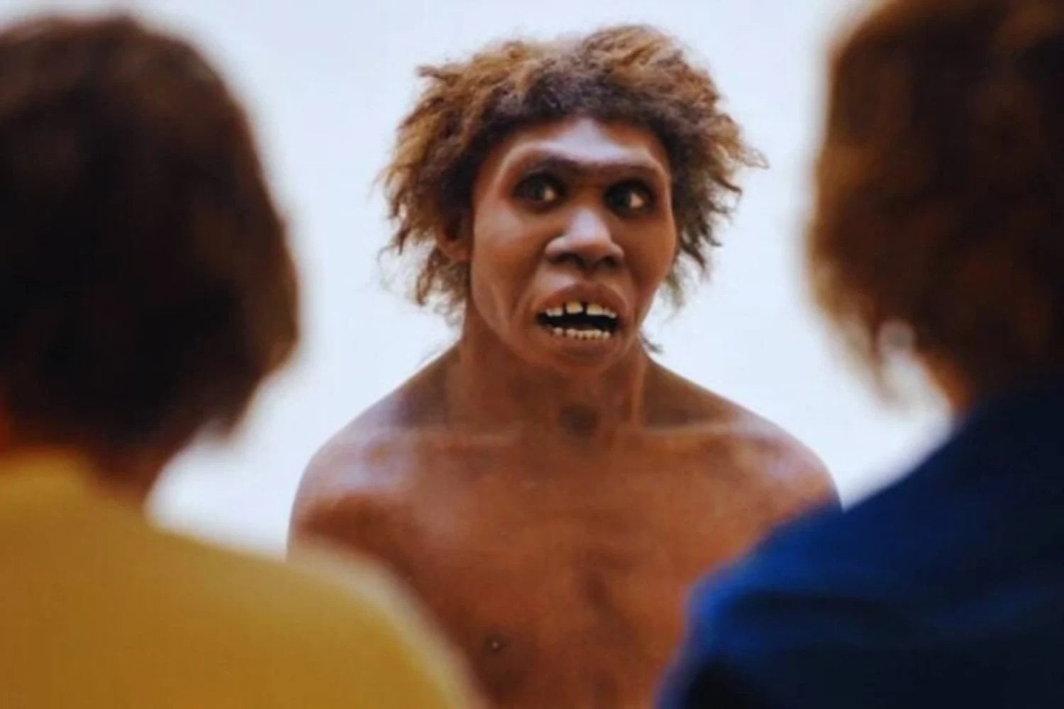 La ciencia propone que los neandertales no murieron como especie, sino que se fusionaron con nosotros. Su legado sigue vivo en el ADN de los humanos modernos