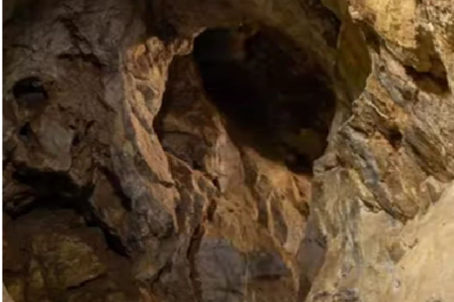 Diseño Sin Título (5)