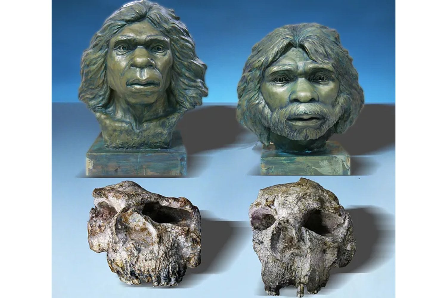 Homo erectus habría llegado a China cientos de miles de años antes de lo que creíamos. Por qué esta nueva datación cambia el mapa de la primera expansión humana