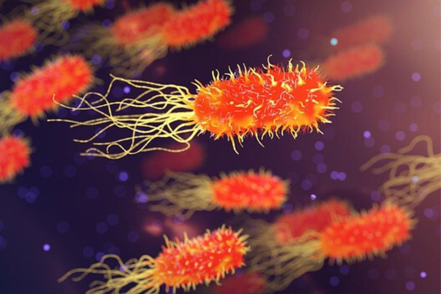 Antes de LUCA ya había biología en marcha. Algunos de nuestros genes podrían ser más antiguos que el ancestro común de toda la vida