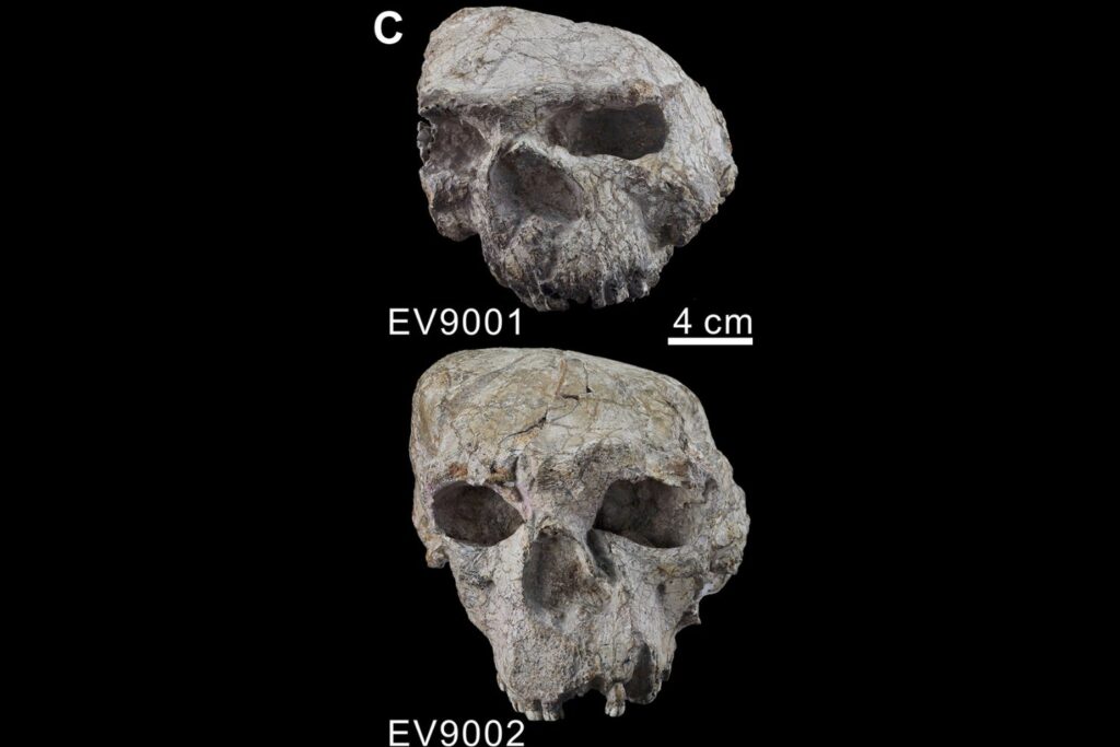 Homo erectus habría llegado a China cientos de miles de años antes de lo que creíamos. Por qué esta nueva datación cambia el mapa de la primera expansión humana