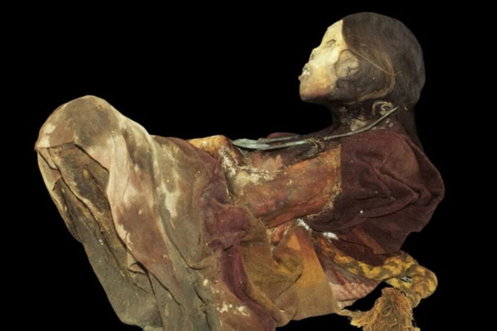 Diseño Sin Título (51)