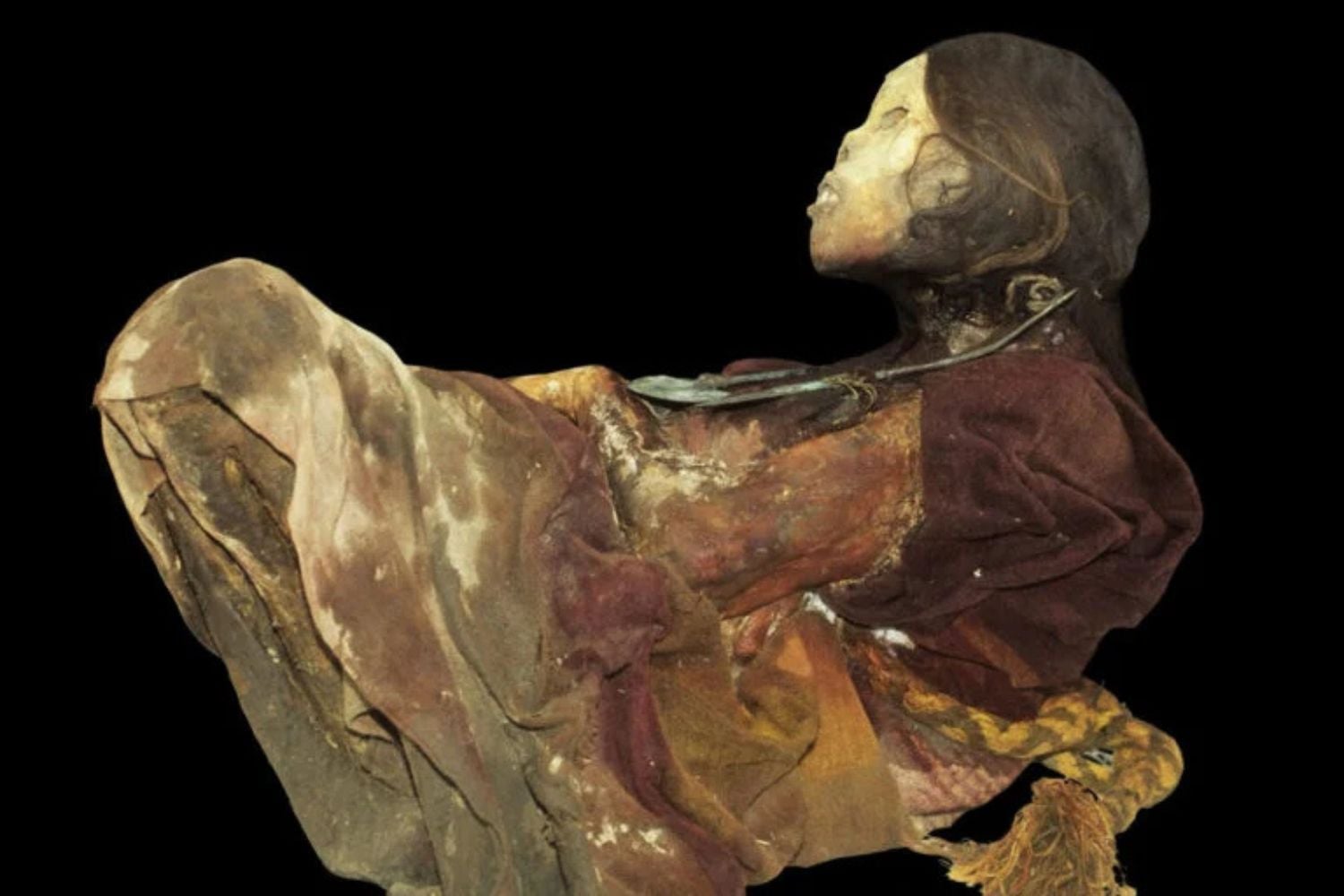 Diseño Sin Título (51)