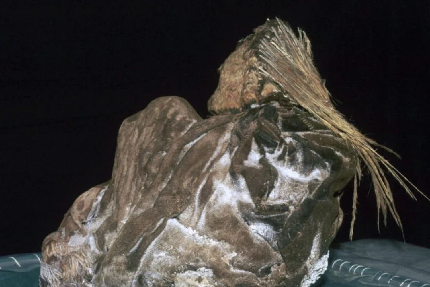 Diseño Sin Título (53)