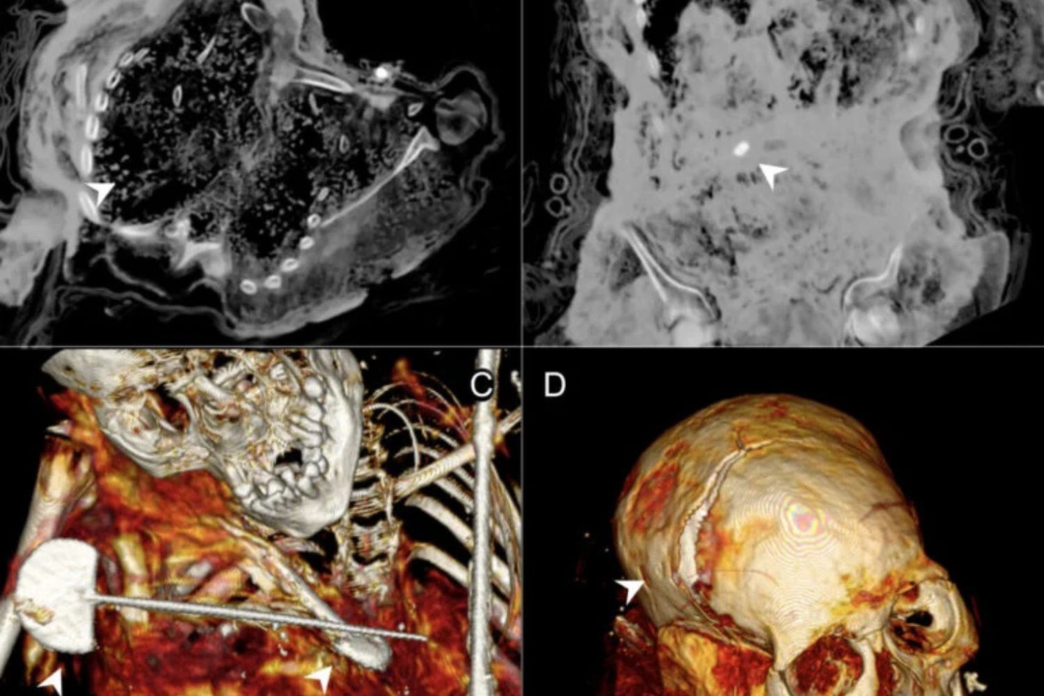 Diseño Sin Título (54)