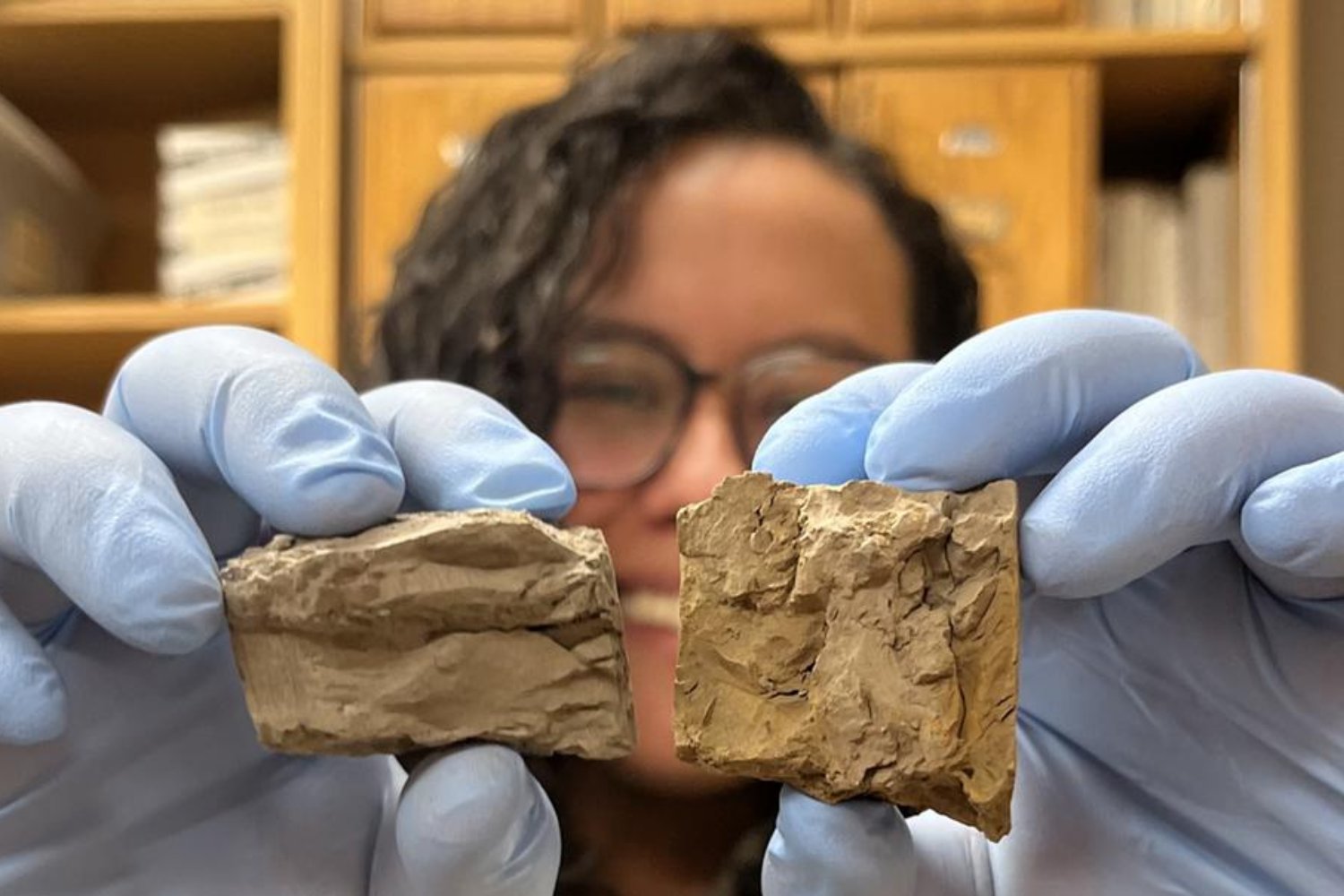 El pasado de la Tierra lanza una advertencia incómoda para los trópicos. Cuando el CO₂ fue como ahora, la tierra se calentó mucho más que el mar