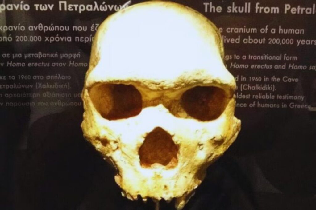 El fascinante cráneo que fue hallado en Grecia hace 300.000 años no era de un humano ni de un neandertal. Ahora sabemos a quién perteneció y la respuesta es fascinante