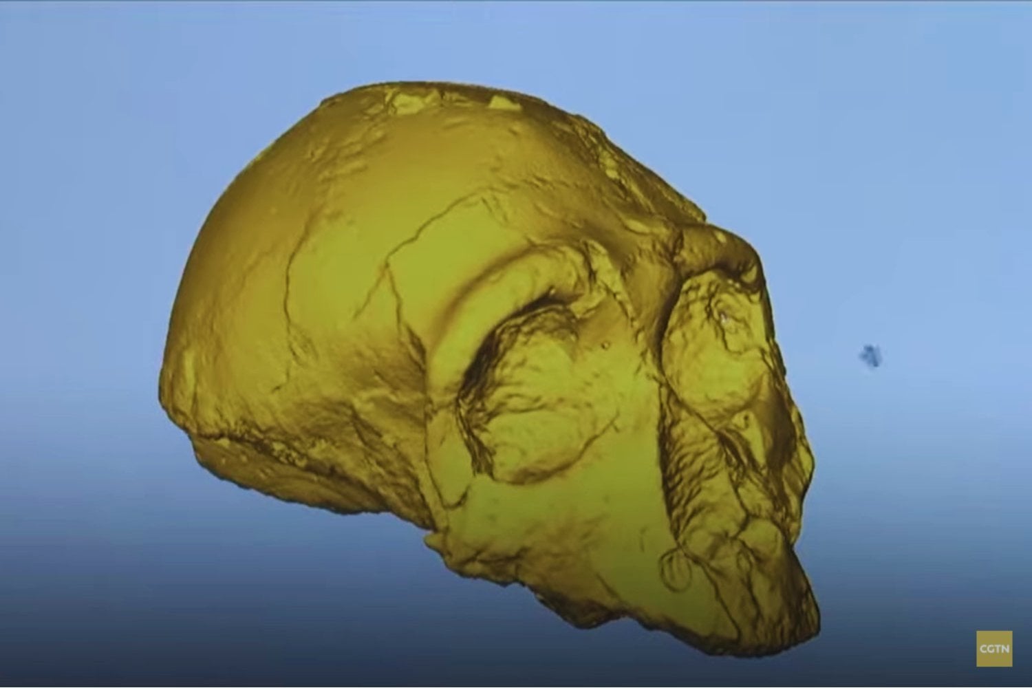 El fascinante cráneo que fue hallado en Grecia hace 300.000 años no era de un humano ni de un neandertal. Ahora sabemos a quién perteneció y la respuesta es fascinante