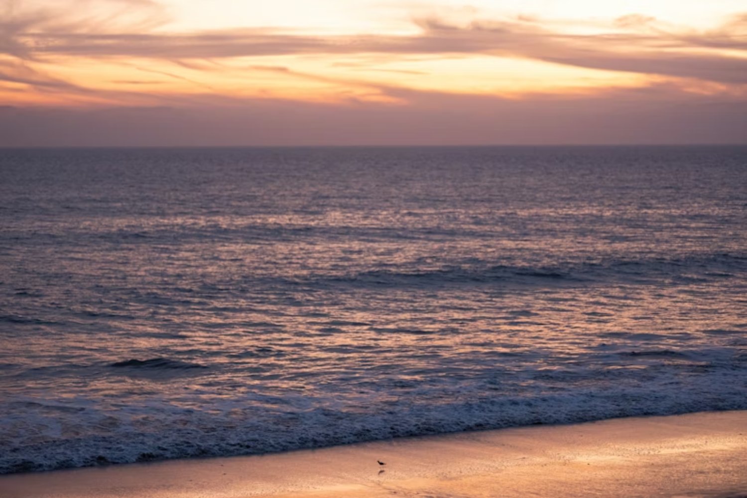 El océano Índico se está volviendo menos salado desde hace décadas. El cambio silencioso que puede alterar lluvias y sequías en medio planeta