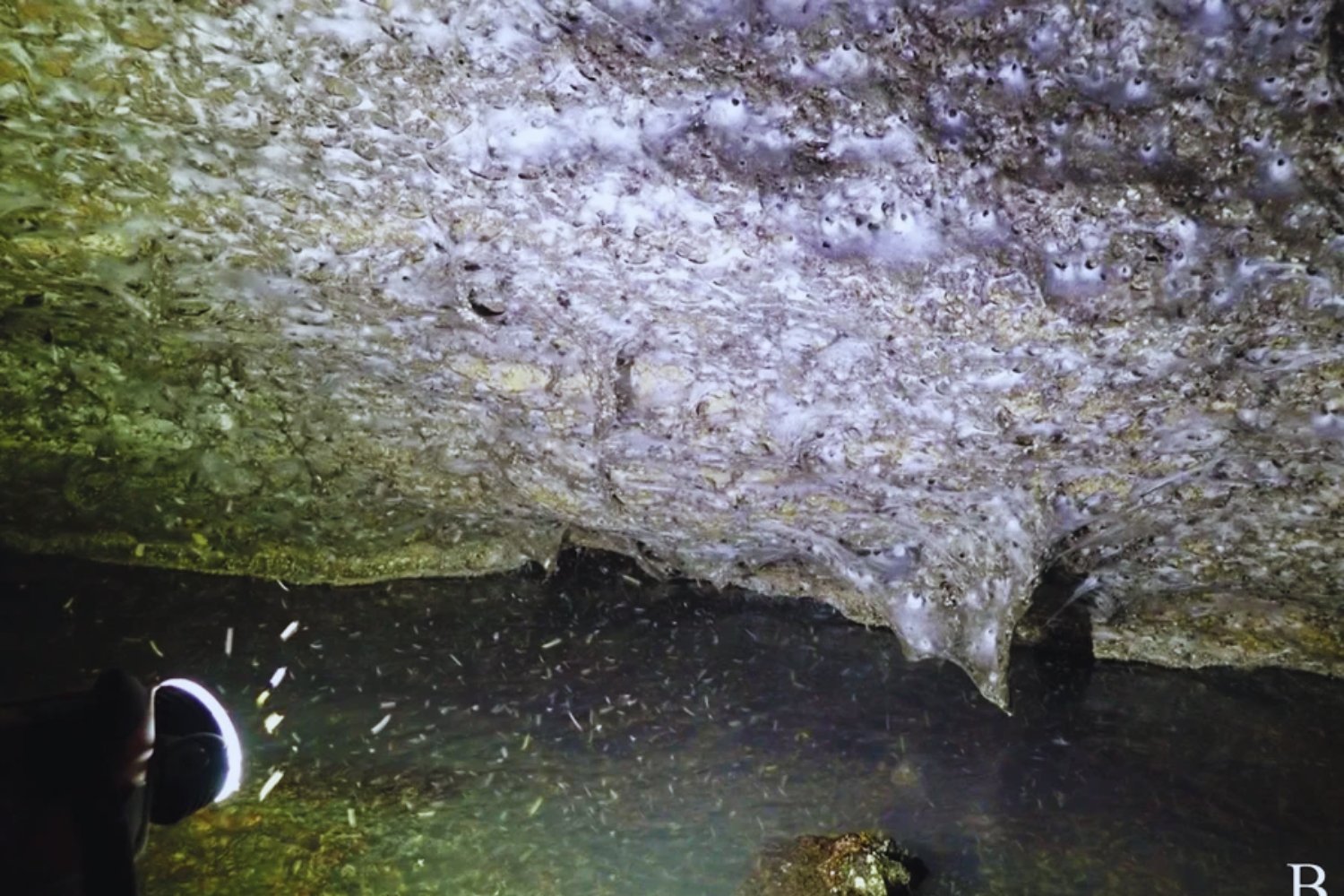 Se adentraron en una cueva bajo la frontera entre Albania y Grecia y encontraron algo insólito: la telaraña más grande del mundo, habitada por más de 100.000 arañas