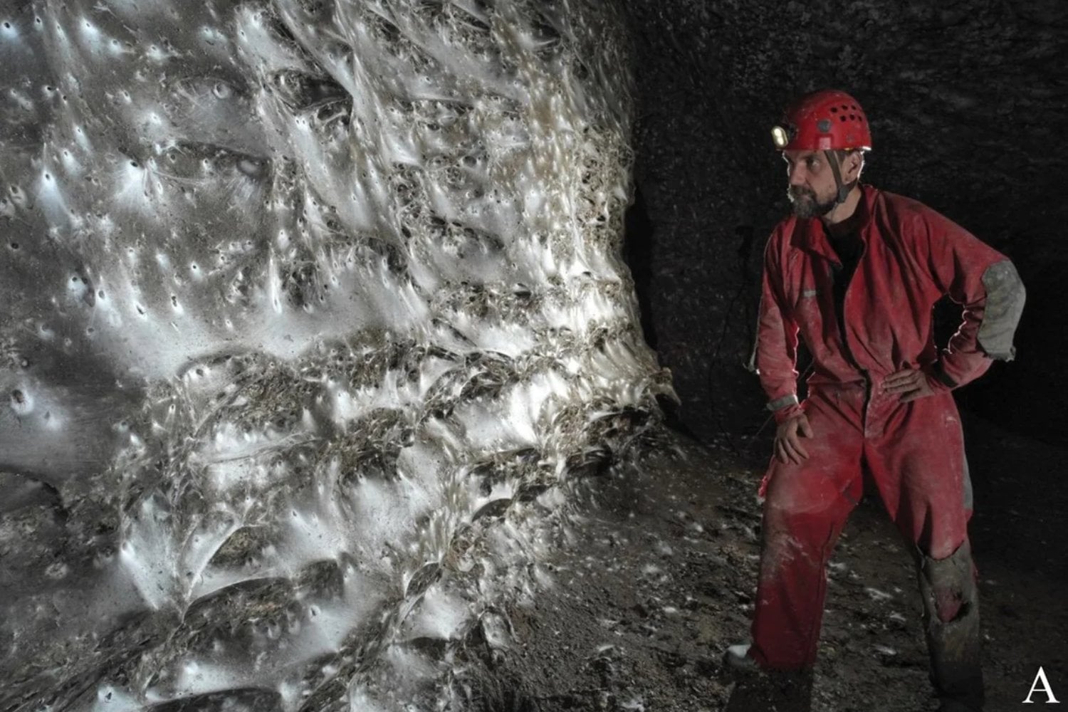Se adentraron en una cueva bajo la frontera entre Albania y Grecia y encontraron algo insólito: la telaraña más grande del mundo, habitada por más de 100.000 arañas