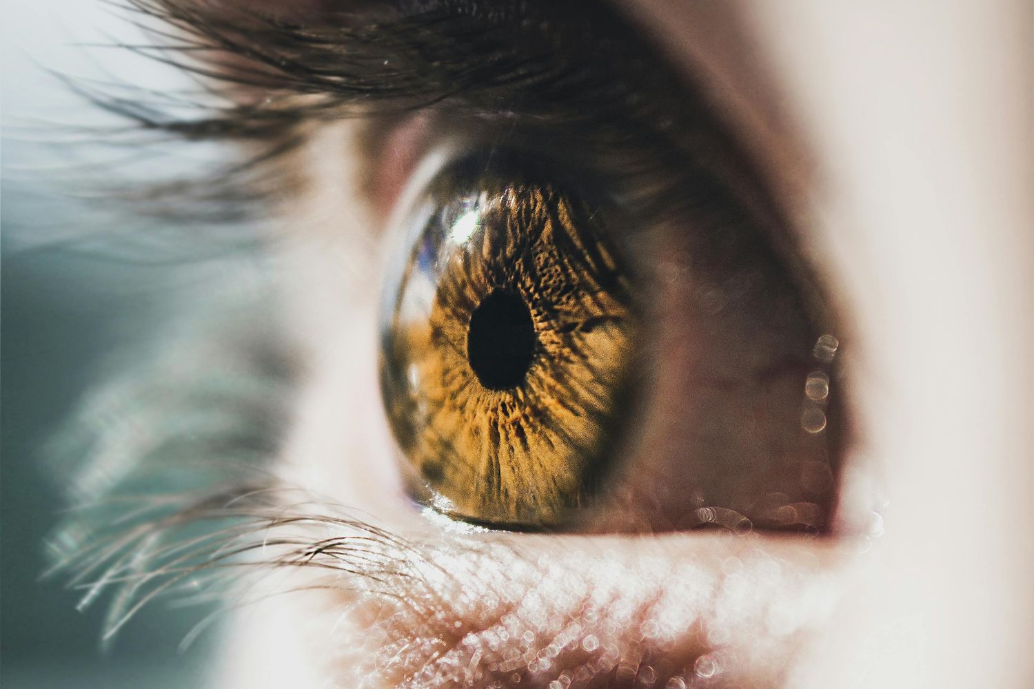 Diseño Sin Título (58)