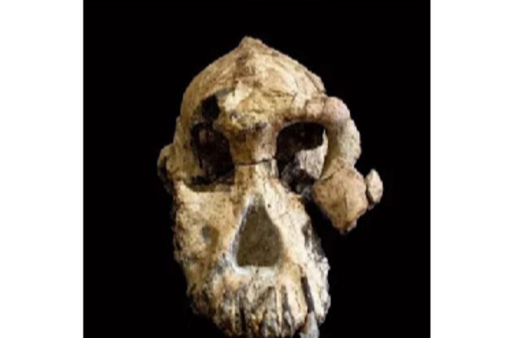 Diseño Sin Título (59)