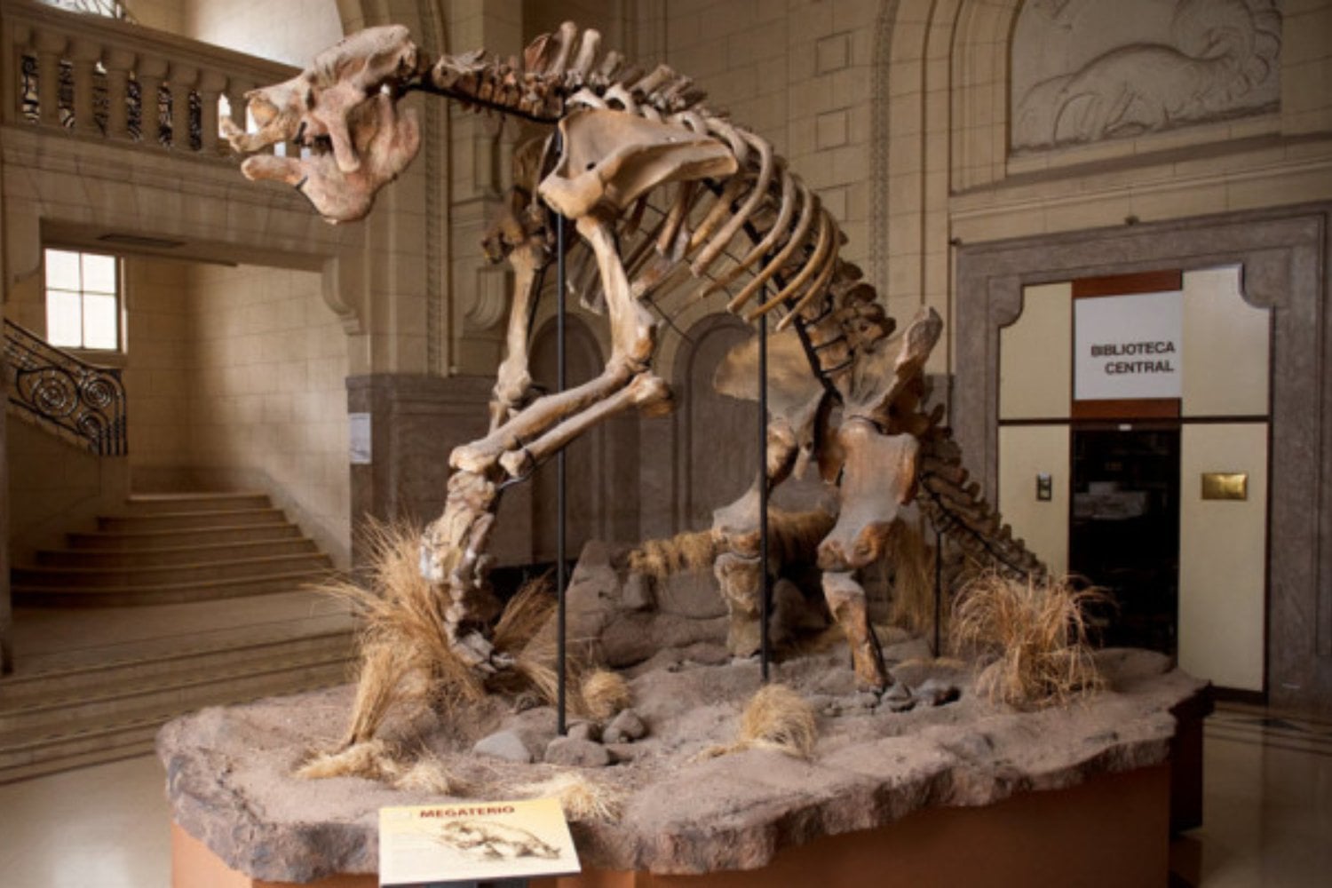 Un gigante de la Edad de Hielo reaparece en la Patagonia. El hallazgo que reabre la historia olvidada del Nahuel Huapi