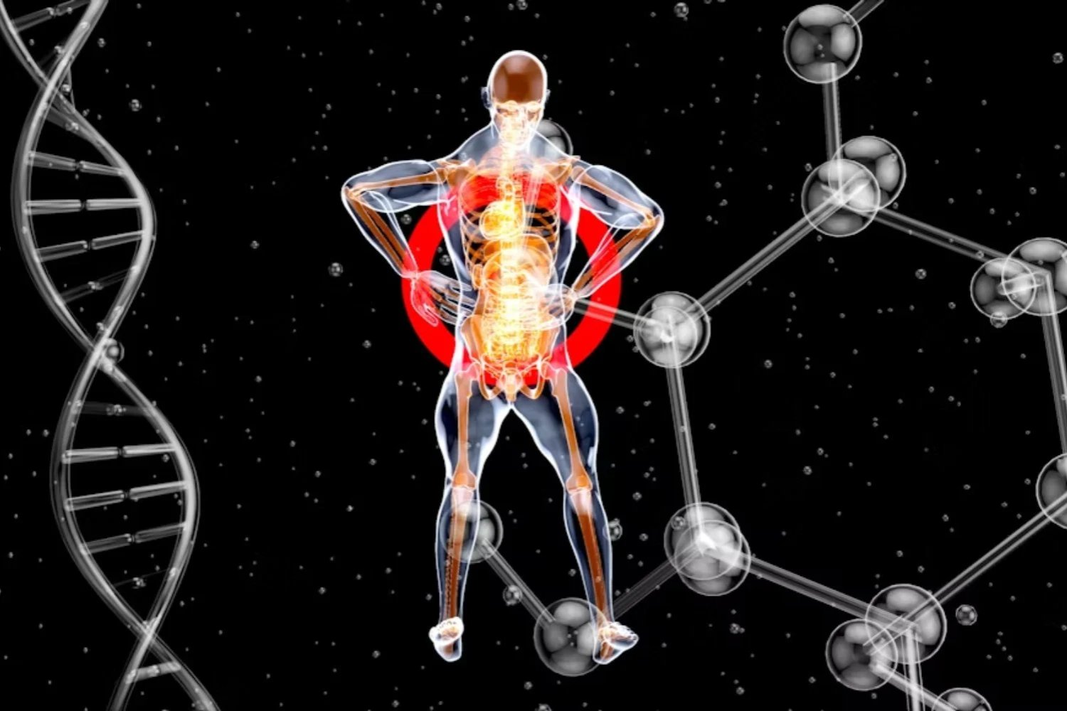 La longevidad no depende solo del estilo de vida. Un nuevo análisis sugiere que los genes pesan mucho más de lo que creíamos