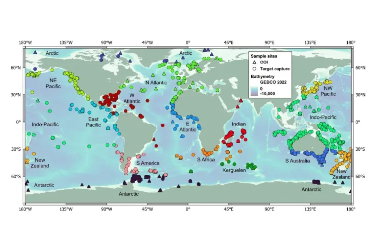 El océano profundo no es un archipiélago de ecosistemas aislados. Es una red global por la que la vida ha viajado durante 100 millones de años