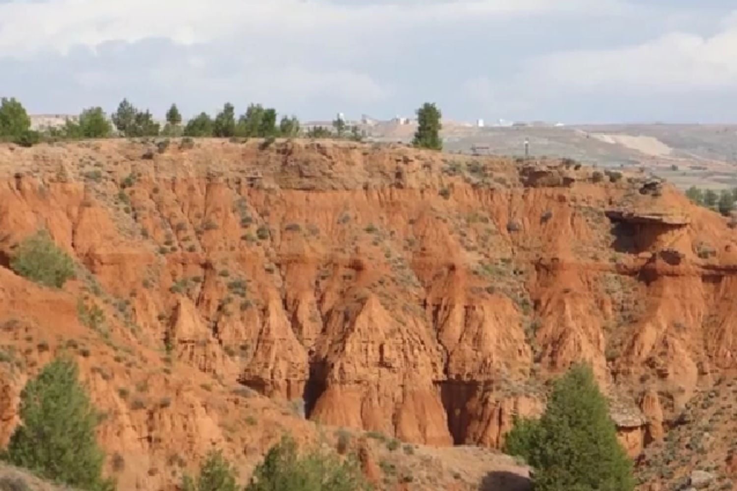 Diseño Sin Título (65)