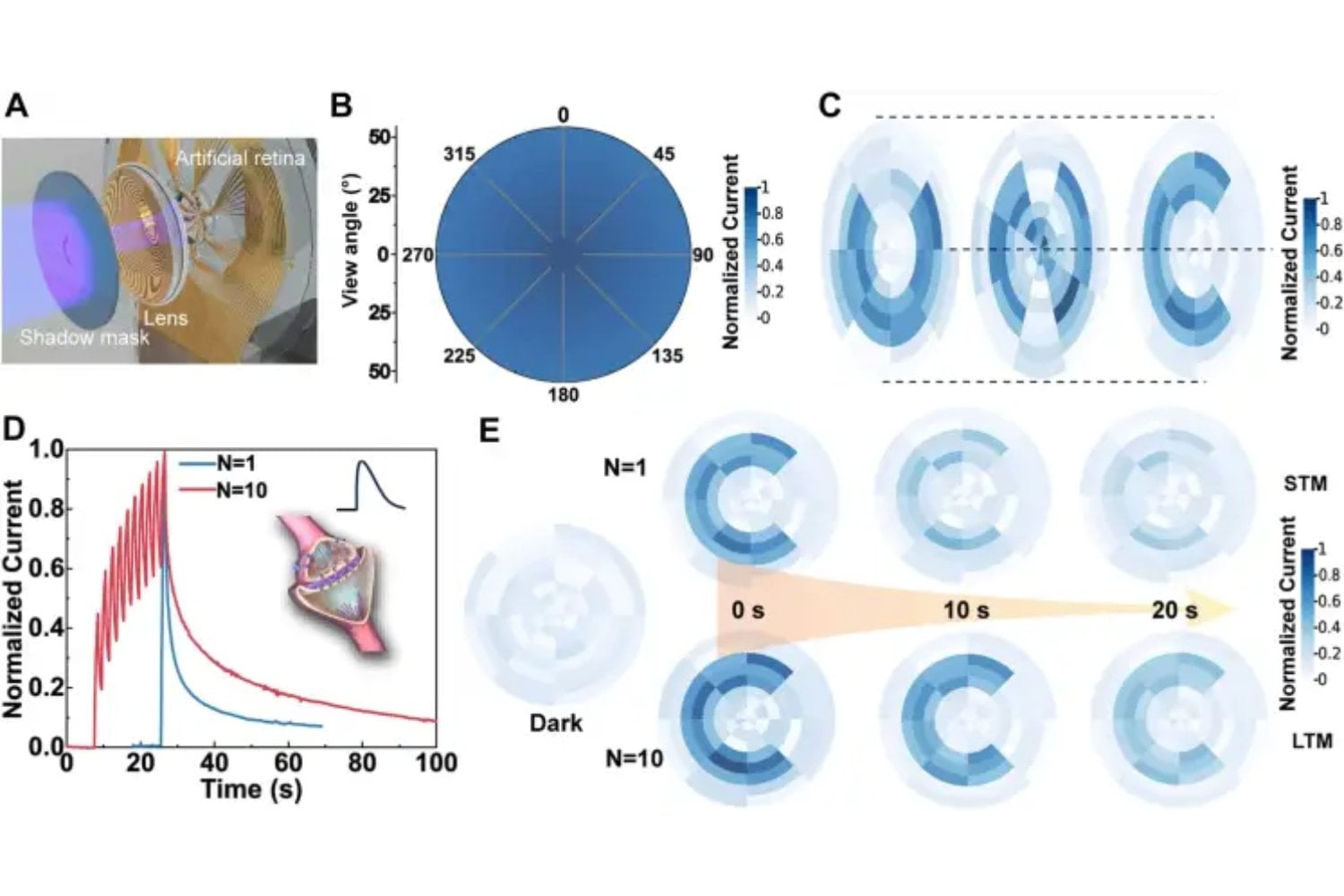 Una pupila de metal líquido imita los ojos de los animales. El salto que promete una visión artificial que se adapta al entorno en tiempo real