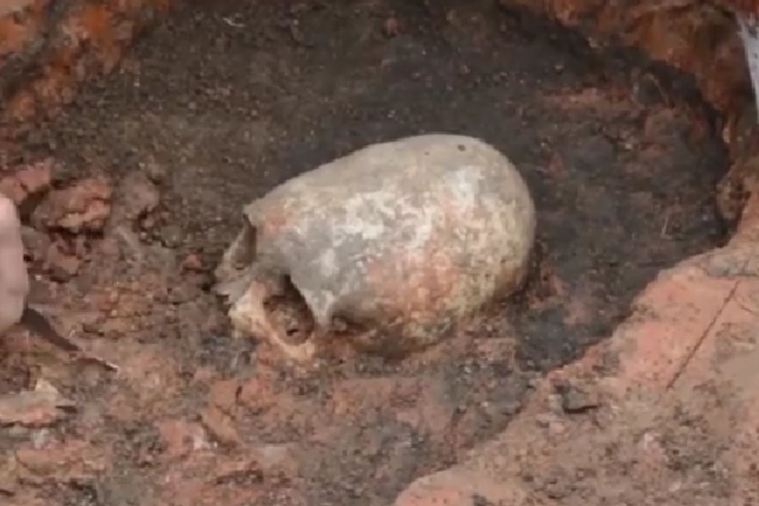 Diseño Sin Título (67)