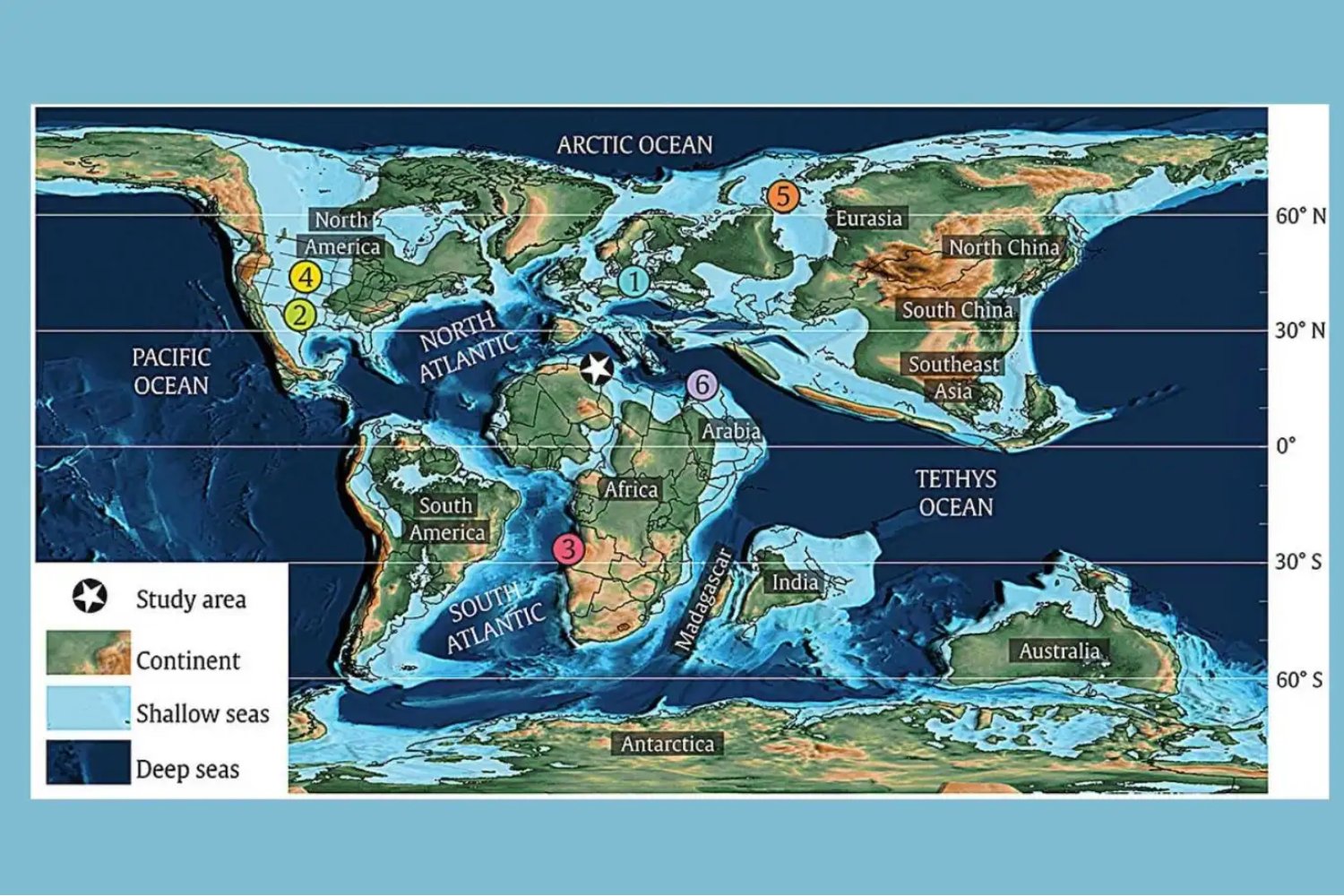 Bajo antiguas lagunas del Atlas Sahariano emerge un “monstruo marino” del Cretácico. Una vértebra hallada en Argelia confirma por primera vez plesiosaurios en el Coniaciense africano