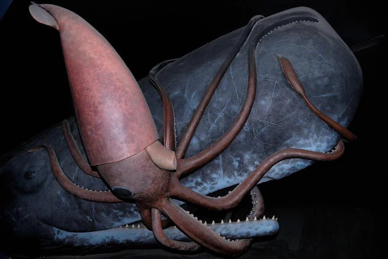 La mayor carrera armamentística de la naturaleza no involucra humanos. Se libra en la oscuridad total de las profundidades del océano