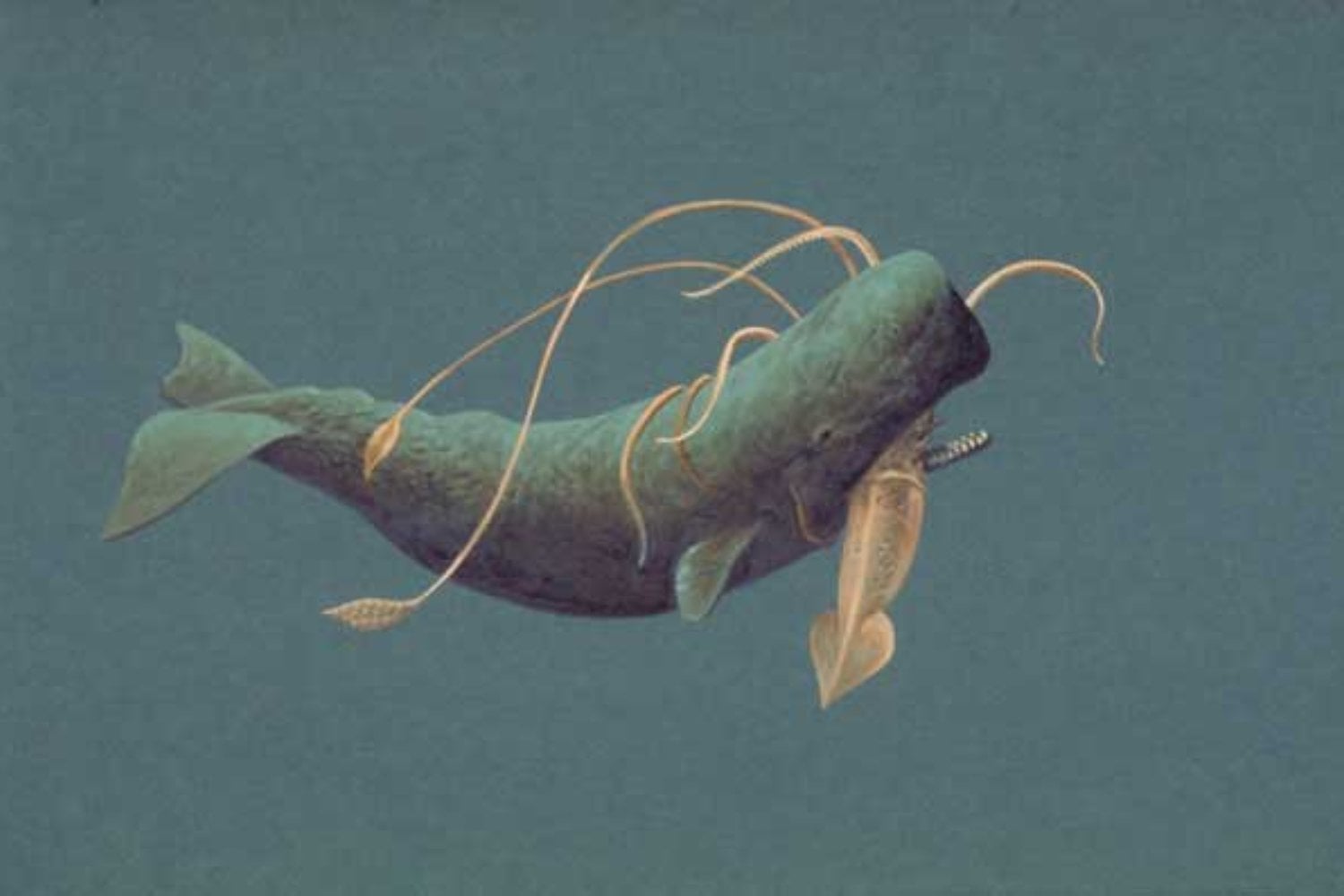 La mayor carrera armamentística de la naturaleza no involucra humanos. Se libra en la oscuridad total de las profundidades del océano